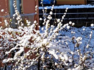 L'ultima (?) neve di primavera a Sant'Andrea di Conza